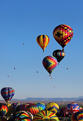 Multi-colored hot air balloons are a hallmark of the Albuquerque NM Balloon Fiesta, here at mass ascension. More than 650 balloons launched. The foreground shows the stages of balloon inflation.  © JMetz