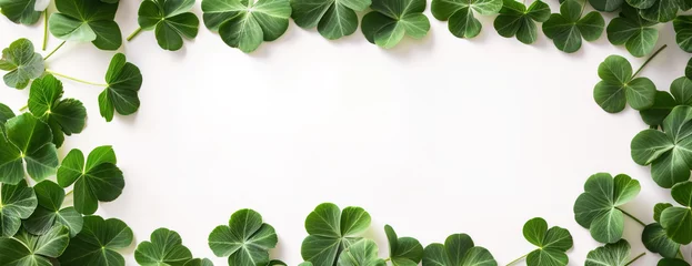 Foto op Canvas Natural four leaf lucky clover frame over white background with copy space for text, promotion, advertisement © Pajaros Volando