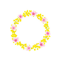 Watercolor wreath of mimosa and cherry blossoms isolated on white background. Round frame of yellow spring flowers. Hand drawn botanical illustration. For packaging, postcards, printing, invitations