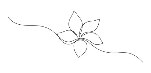One continuous line drawing of Plumeria flower. Frangipani blossom with petals for floral tattoo in simple linear style. Jasmines petals for wedding in Editable stroke. Doodle vector illustration