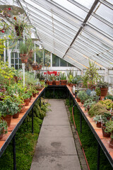 Victorian Greenhouse Indoor Jungle - Northampton Massachusetts 