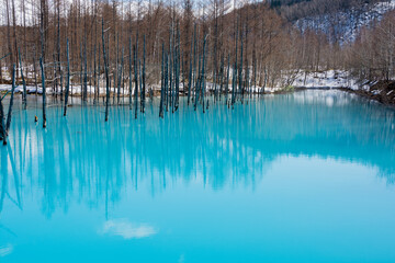 雪が残る春の青い池　美瑛町
