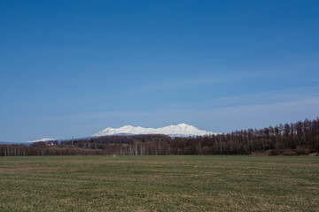 春の晴れた日の牧草畑と雪山　大雪山
