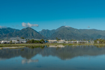 Kanaha Pond State Wildlife Sanctuary. Kahului Maui Hawaii. The West Maui Mountains, West Maui Volcano, or Mauna Kahālāwai which means 