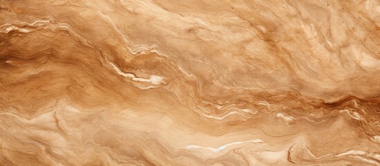 This close-up view showcases the intricate patterns and textures found on the surface of the...