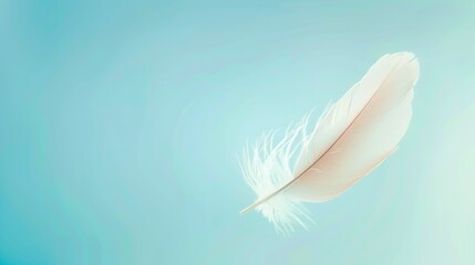 Ethereal Floating Feather on Gradient Blue Backdrop