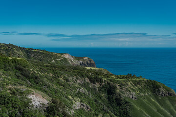 Kahekili Hwy, Wailuku, Maui Hawaii.  The coconut tree (Cocos nucifera) is a member of the palm tree family (Arecaceae) and the only living species of the genus Cocos.