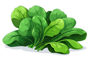Fresh Green Leaves: A Vibrant, Nutrient-rich Salad Ingredient on a White Background - obrazy, fototapety, plakaty