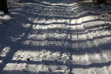 tracks in snow