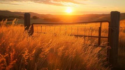 Fototapeten Golden grass by farm gate at sunset generative ai © Francheska