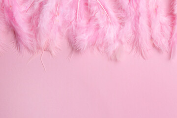 Bright feathers on pink background, flat lay. Space for text