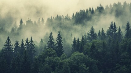 Fototapeta premium Misty landscape with fir forest in vintage retro style generative ai