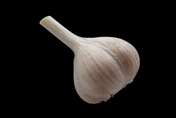 Close up of garlic bulb on black background.