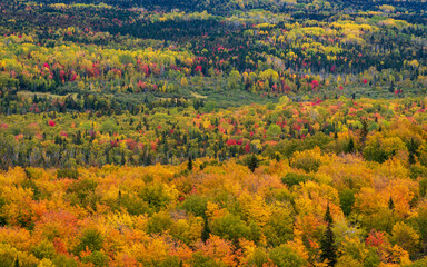 Colourful autumn landscape on Canada east coast.
