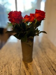 Gorgeous reddish orange roses in a vase on a counter.