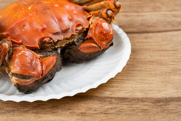 angle view fresh cooked crab close up at horizontal composition