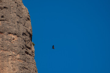 Fototapeta na wymiar rock climber on the cliff