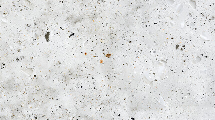 Speckled White Concrete Texture with Natural Elements and Imperfections