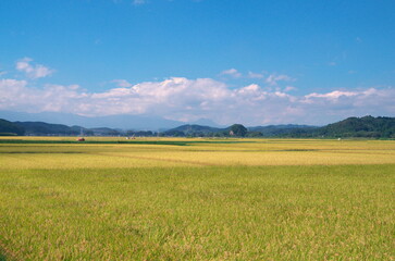 Fototapeta na wymiar 秋の田園風景