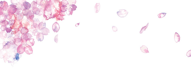 水彩画。水彩タッチの綺麗な桜の花びら背景。桜の舞う和風背景。Watercolor painting. Beautiful cherry petal background with watercolor touch. Japanese style background with dancing cherry blossoms.
