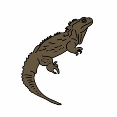 Simple Flat Animal Illustration