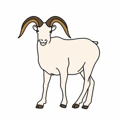 Simple Flat Animal Illustration