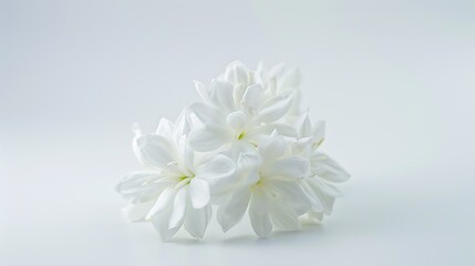 Fototapeta na wymiar White jasmine flowers Jasmine isolated on white background : Generative AI