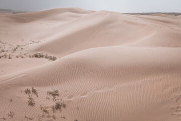 Fototapeta na wymiar Beautiful untouched sand dunes in Inner Mongolia, China