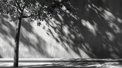 Foto auf Leinwand Gray shadows of leaves plants on the wall and sidewalk Tree silhouettes Street outdoor nature Black white background for design 3d rendering Space for product object Show display podiu : Generative AI © Generative AI