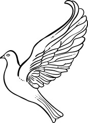 A white dove of peace in flight, a symbol of love and freedom, illustrated with flowing lines and graceful wings
