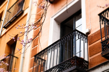 Balcony window and blooming flowers. Old apartment residential house, orange building facade, springtime blossoming pink tree. Spring season in a town
