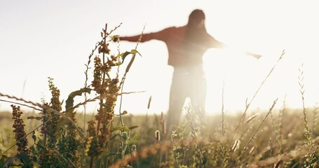 Nature, freedom and back of woman in a field embracing the sunset with plants, grass and greenery. Energy, moving and female person with leaves for calm or peaceful environment in countryside.