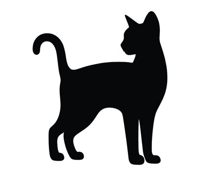 Abyssinian Cat silhouette icon. Vector image.