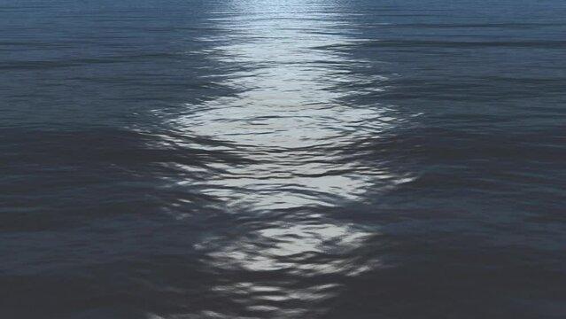 moonlight reflects ocean surface