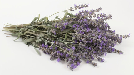 A bundle of lavender stalks each one covered in a blanket of small purple flowers bursting with aromatic oils.