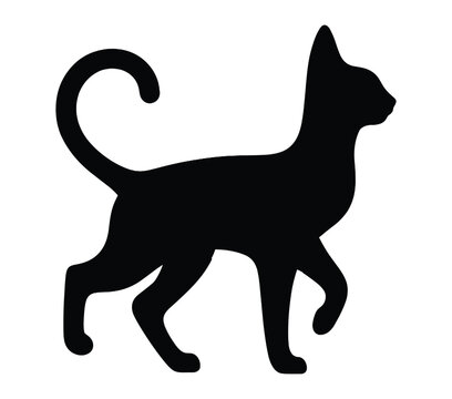 Vector, isolated silhouette of Abyssinian Cat.