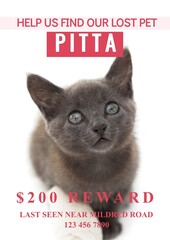 Naklejka premium Composition of help us find our lost pet pitta text over cat on white background