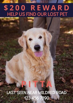 Composition of help us find our lost pet pitta text over dog and owner in park