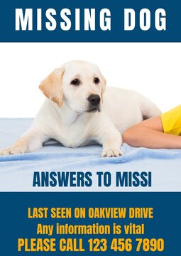 Composition of poster with missing dog text over dog on blue background