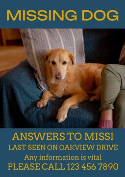 Composition of poster with missing dog text over dog lying on sofa on blue background