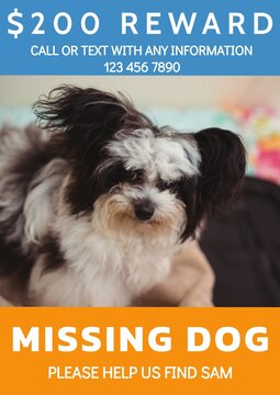 Composition of poster with missing dog text over dog on orange background