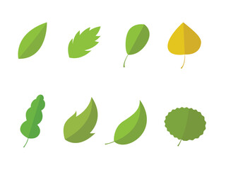 Set of leaves vector illustration