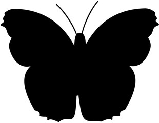 butterfly silhouette Vector Illustration black