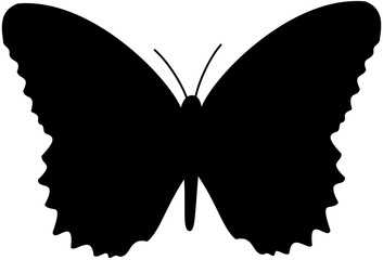 butterfly silhouette Vector Illustration black