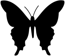 butterfly silhouette Vector Illustration black