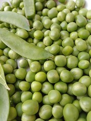 Grains or seed of Pisum sativum or pea grains or seeds or garden pea seeds or grains