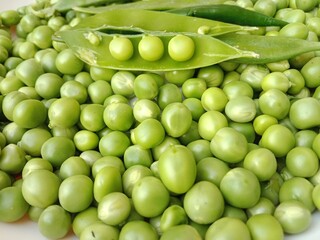 Grains or seed of Pisum sativum or pea grains or seeds or garden pea seeds or grains