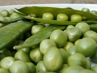 Grains or seed of Pisum sativum or pea grains or seeds or garden pea seeds or grains