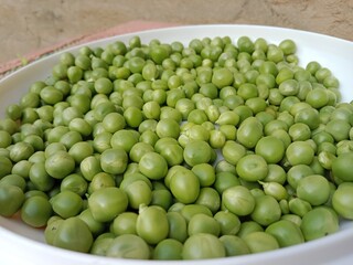 Grains or seed of Pisum sativum or pea grains or seeds or garden pea seeds or grains