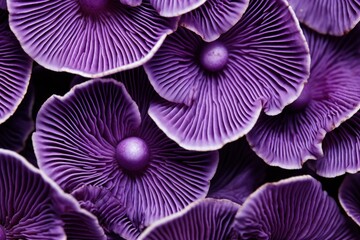 Vibrant Purple macro closeup mushrooms. Botanical forest. Generate Ai